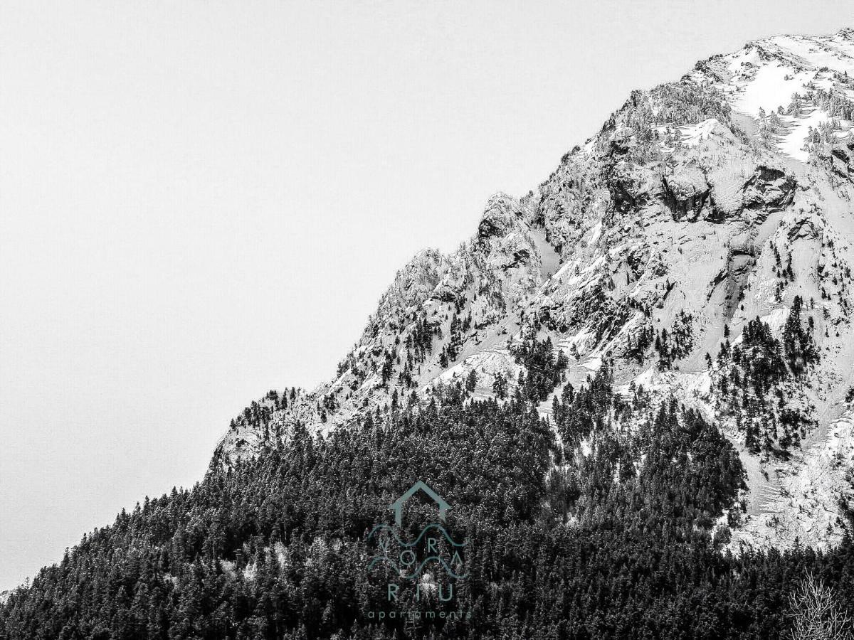 Vora Riu Appartement Esterri d'Àneu Buitenkant foto